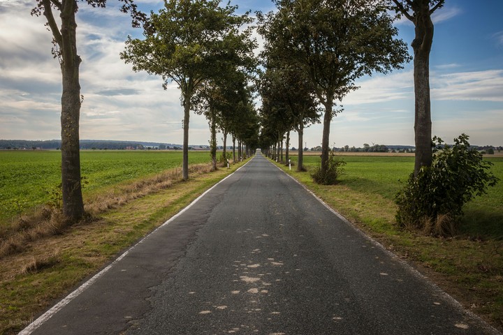 Beautiful Old German Road