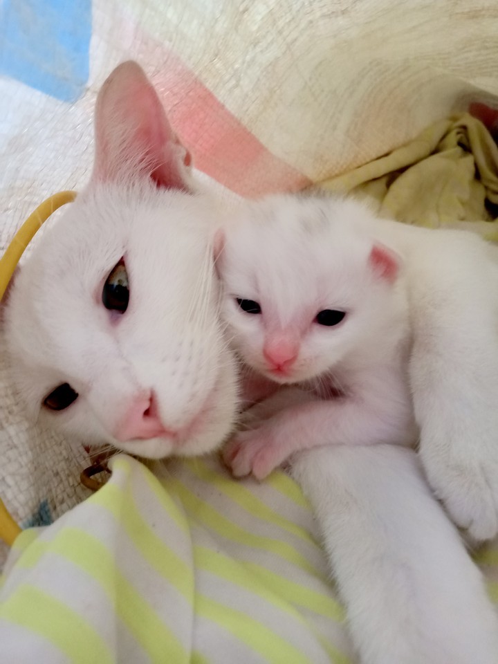 momy