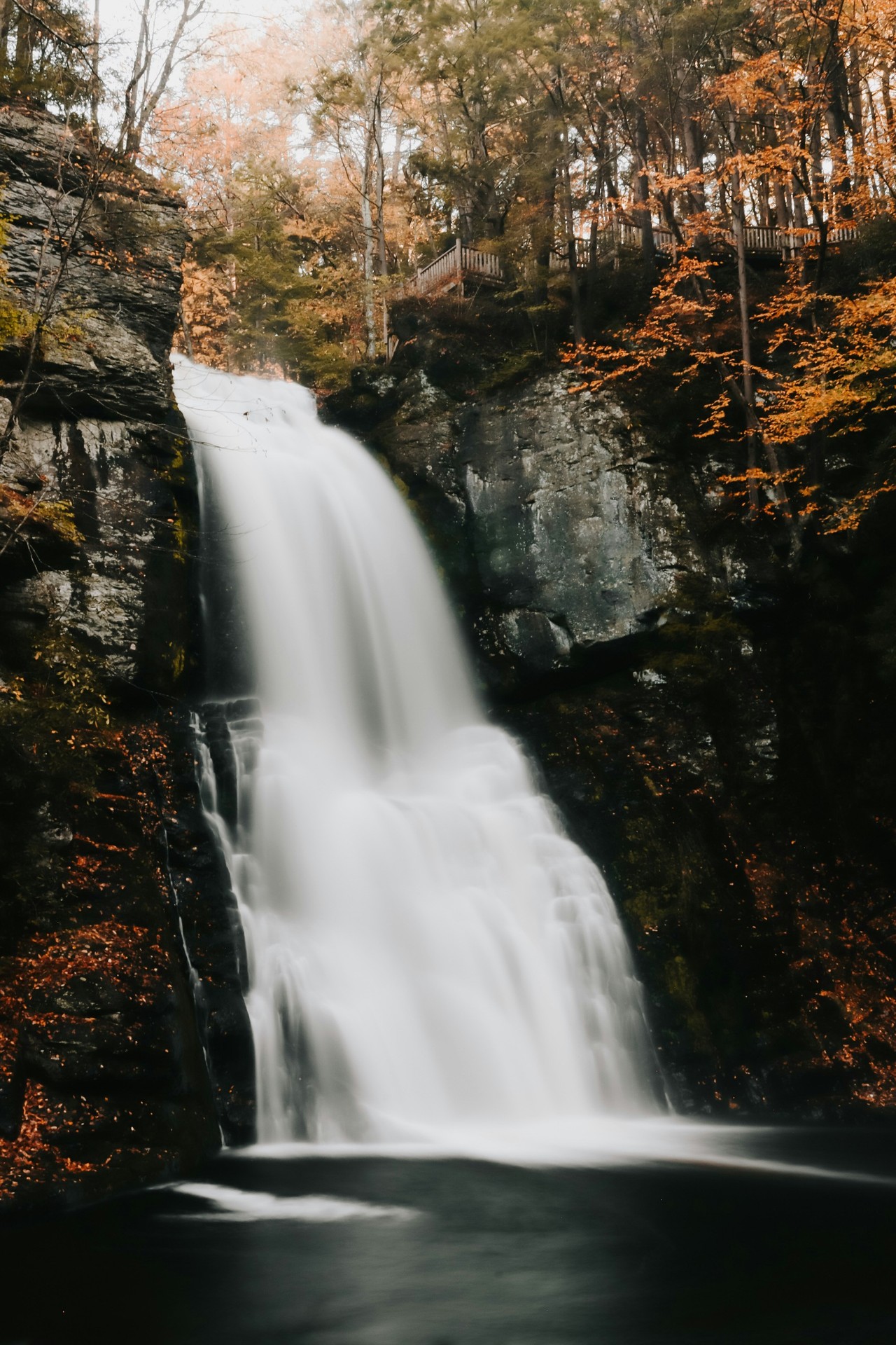 обои Water, Wilderness