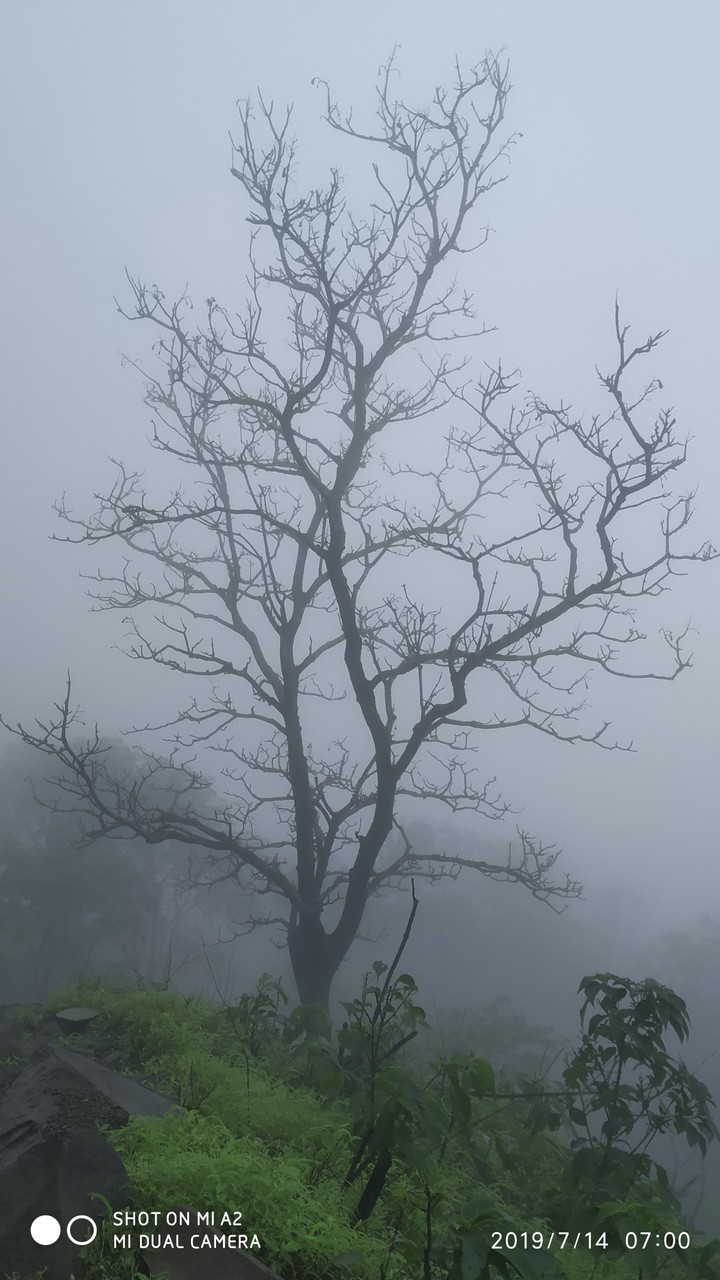 Nature