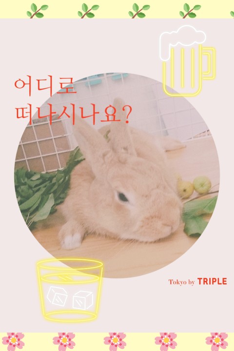 여행♤♤