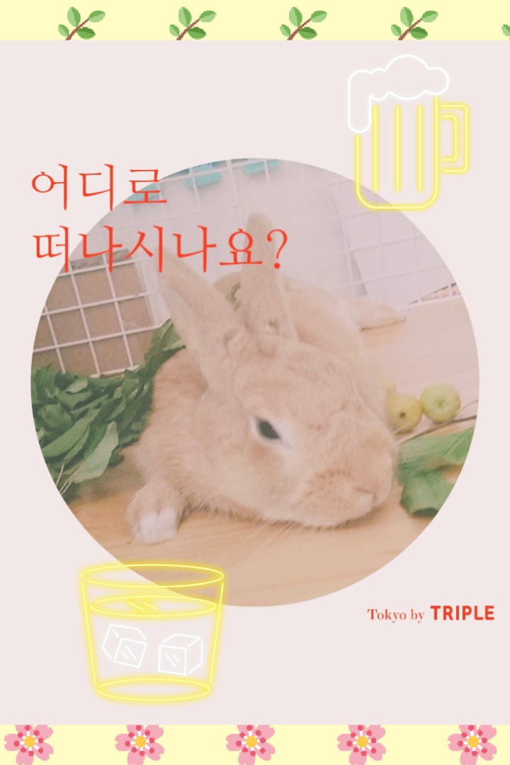여행♤♤