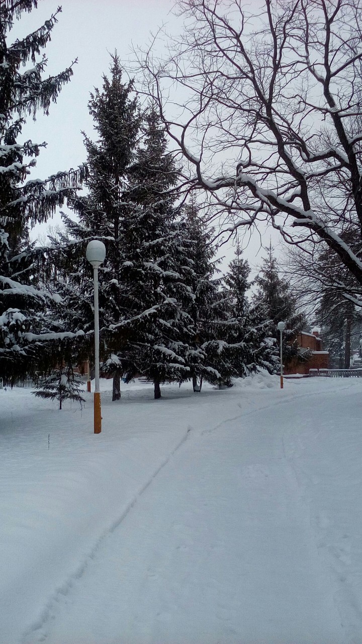 зима