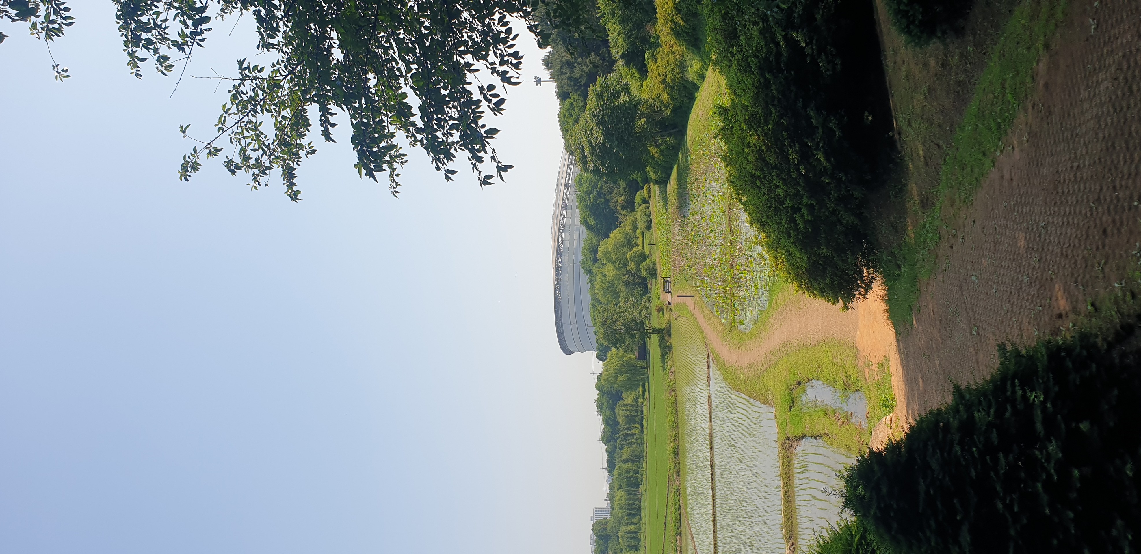 Nature