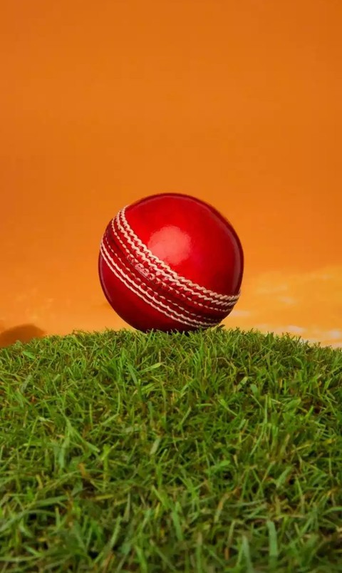 sfondi ball, grass