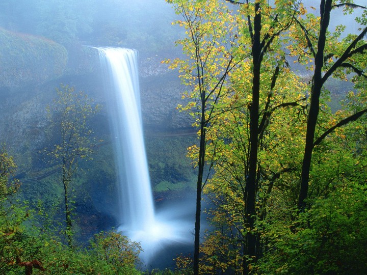 Waterfall - by Shefali Zad