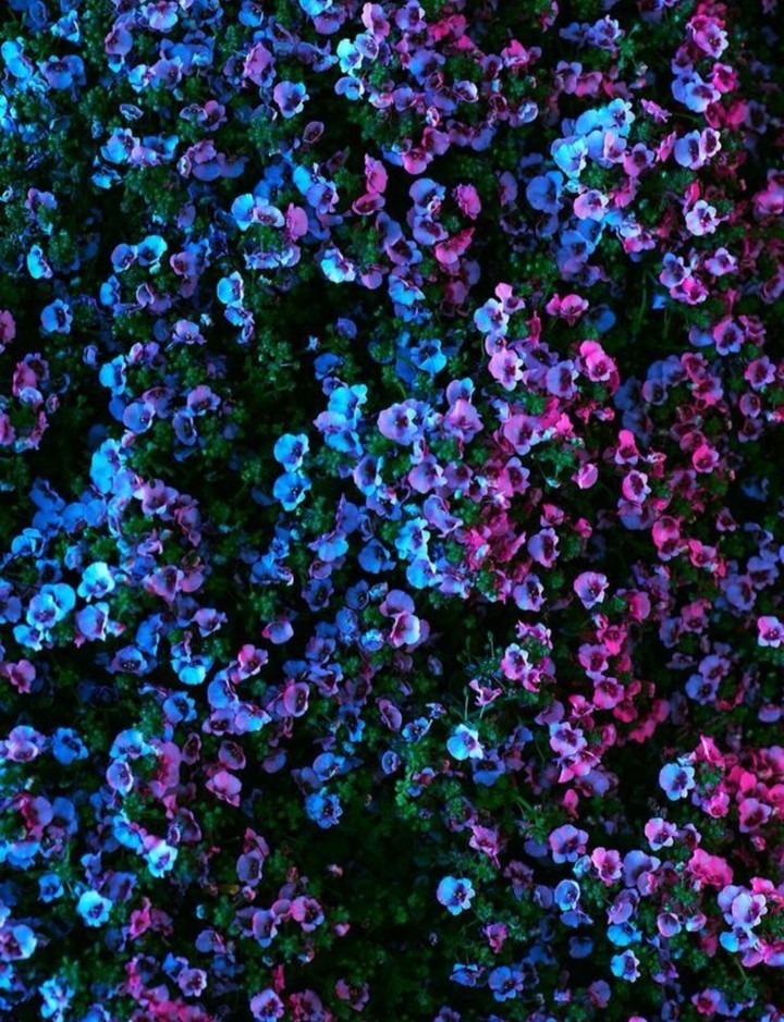 Fluorescence