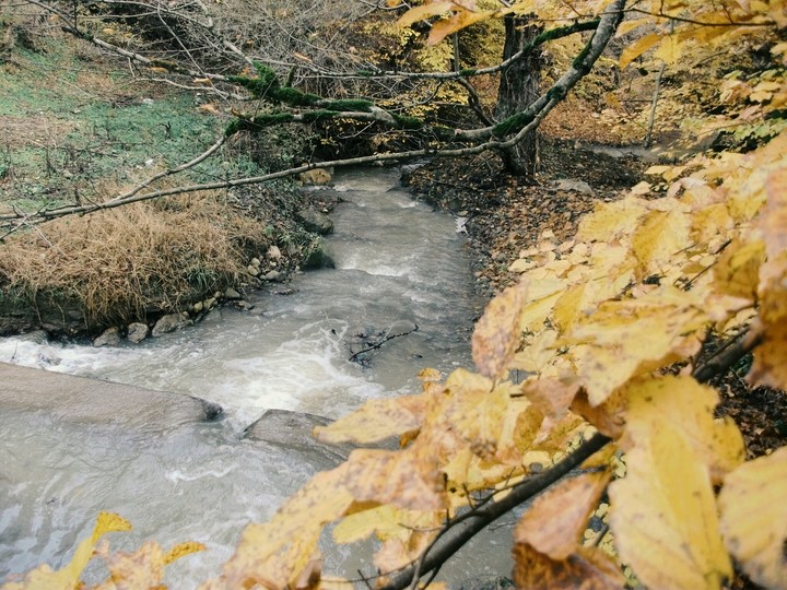 autumn is the last season 