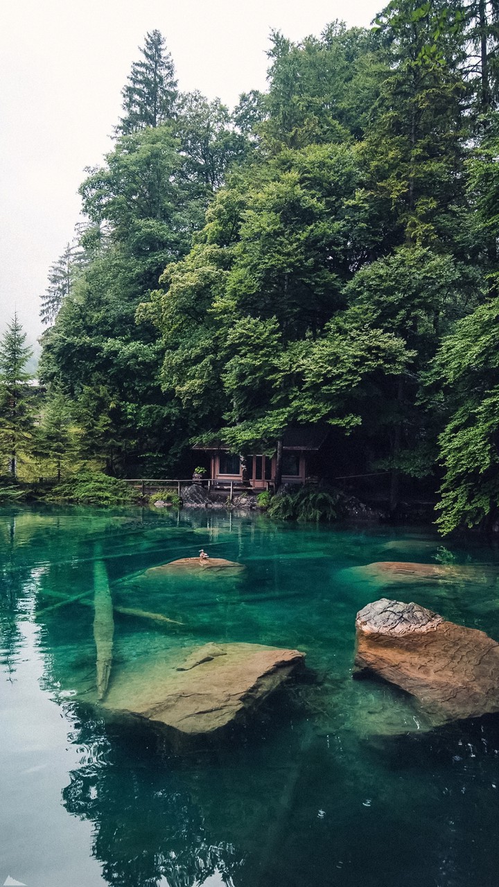 Amazing Paradaise