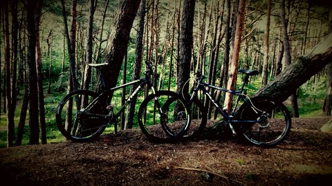 tapety bicycle, vehicle
