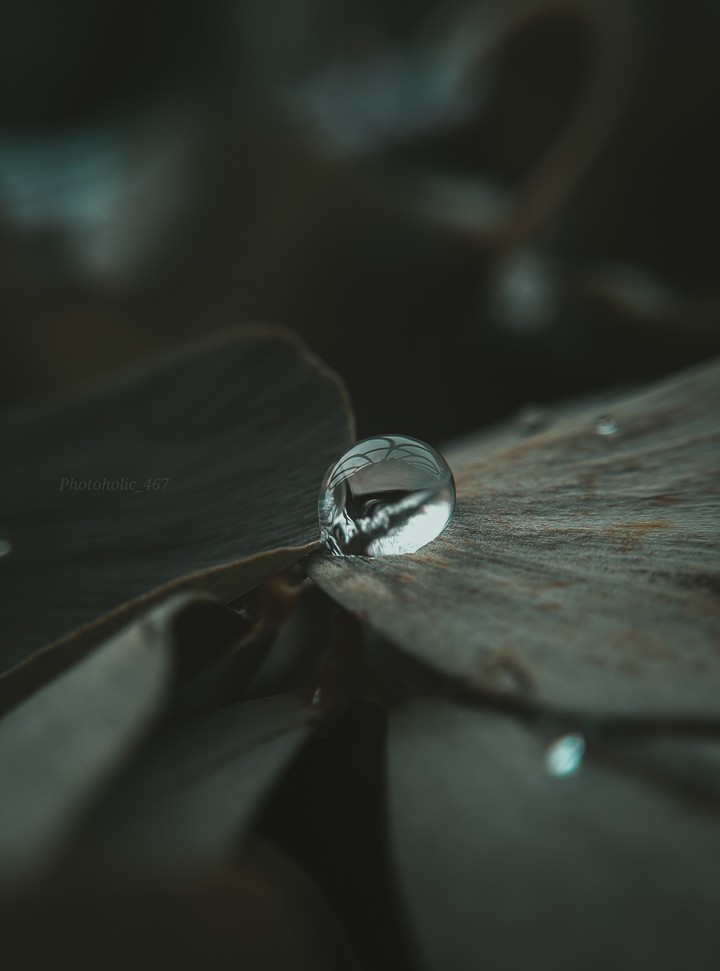 droplets