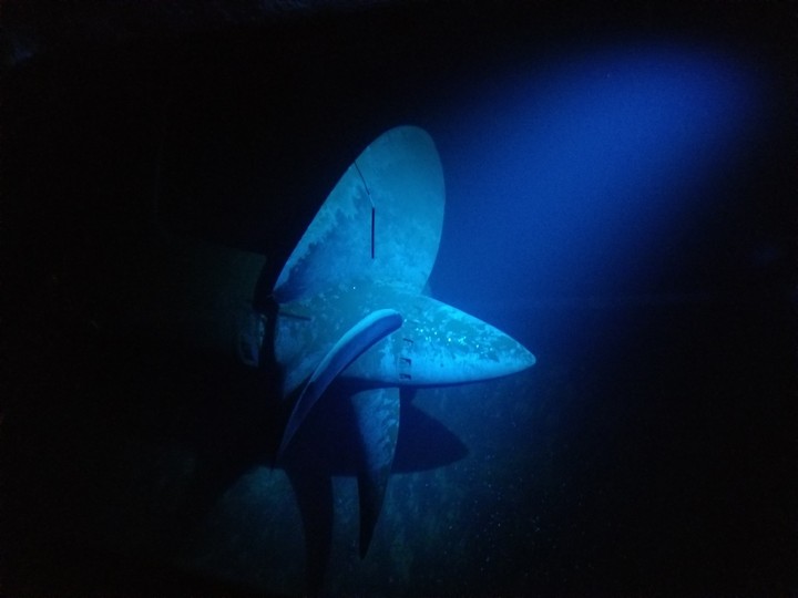 Ship Propeller