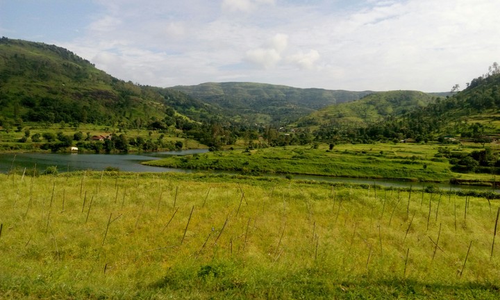 nature sk