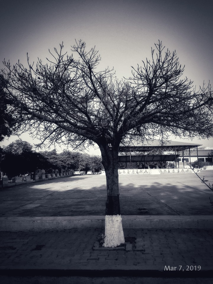 Black and White 001