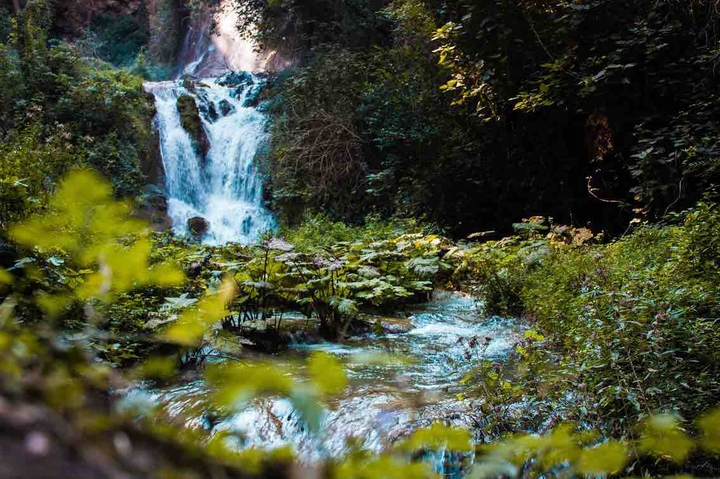 Nature