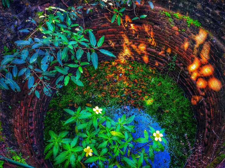 vintage well