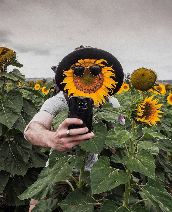 Happy Summer