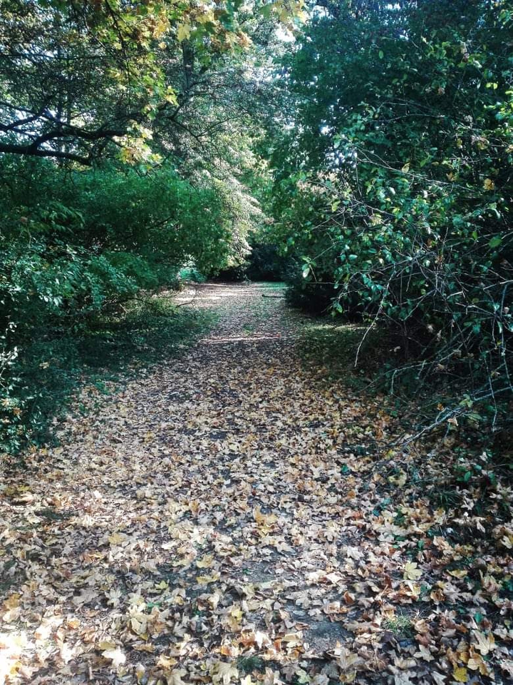 take a walk