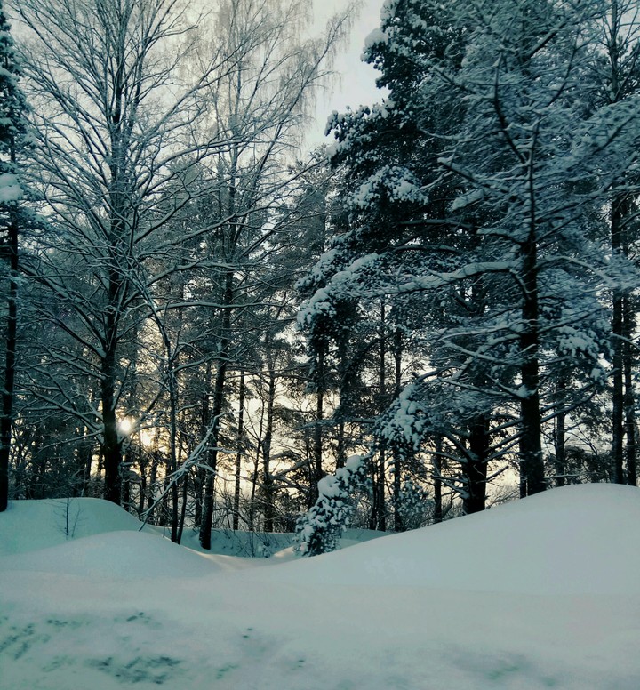 winter in Russia