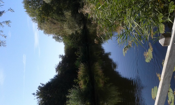 stilte