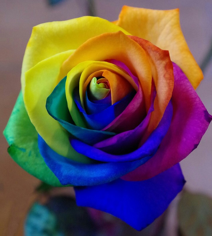 Colourful