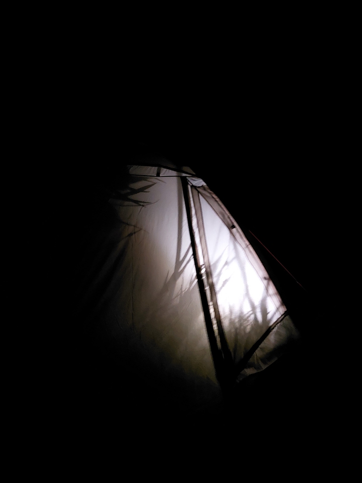 tent in the night ?