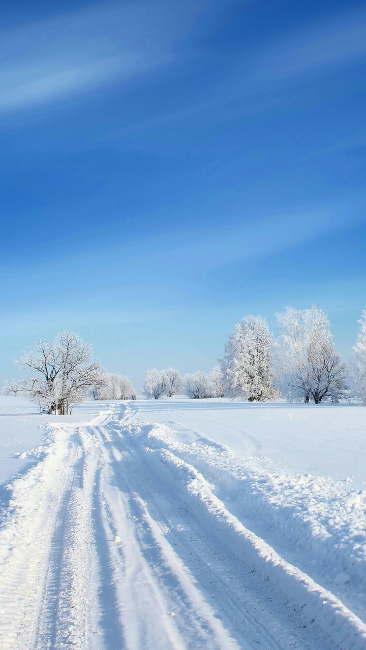 Winter Wonderland