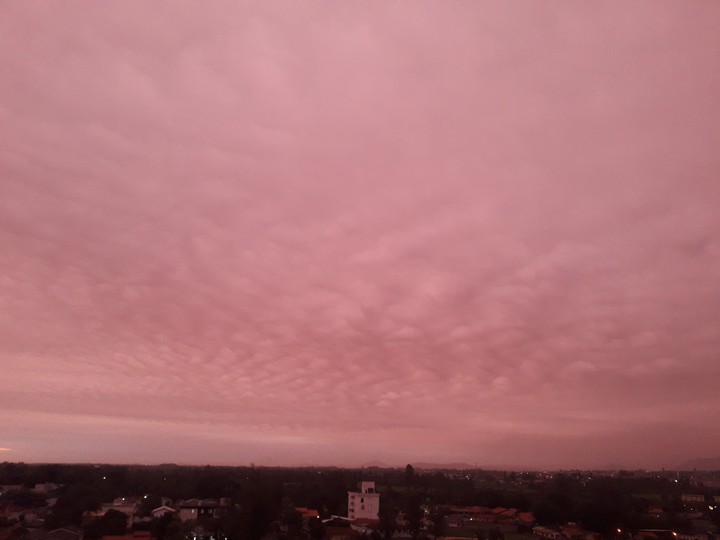 Pink sky