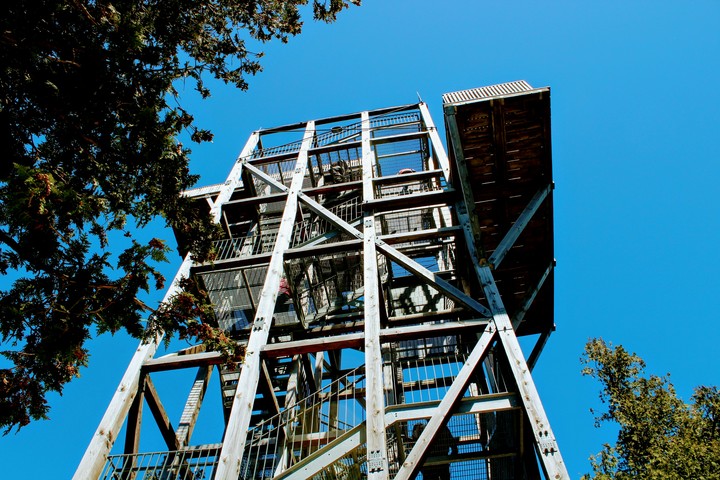 Tower