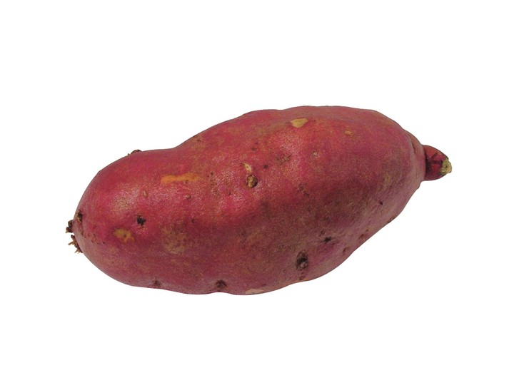 음식이미지