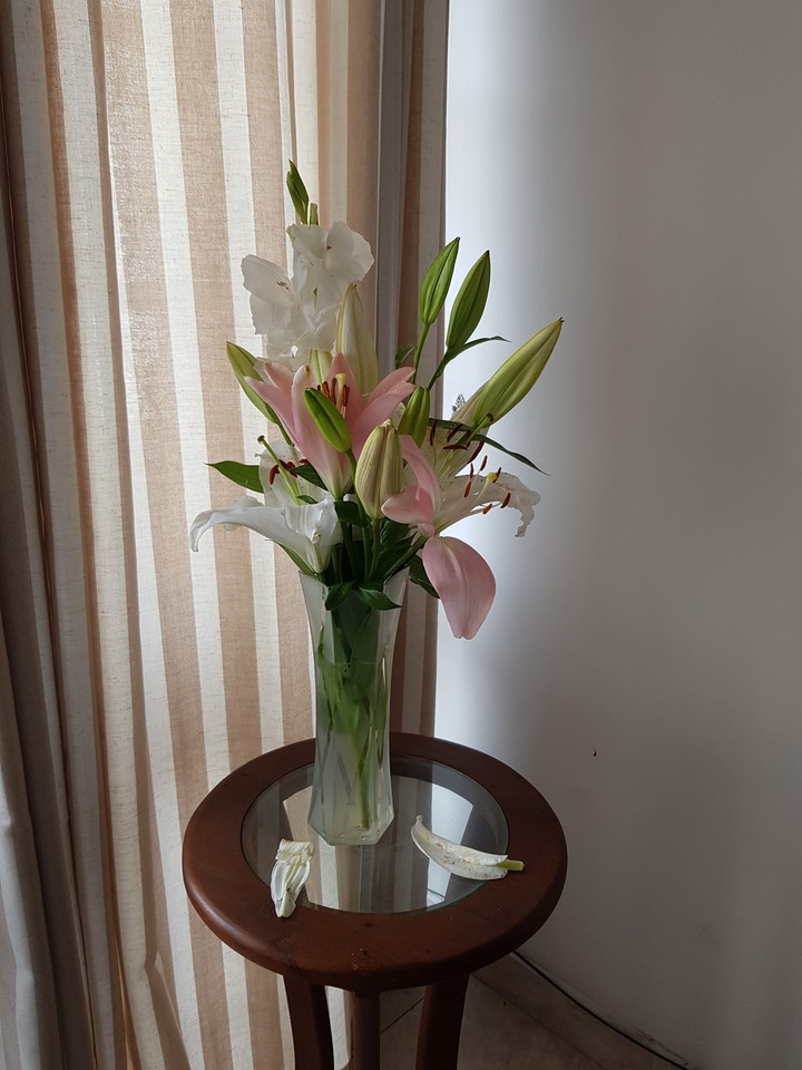lily