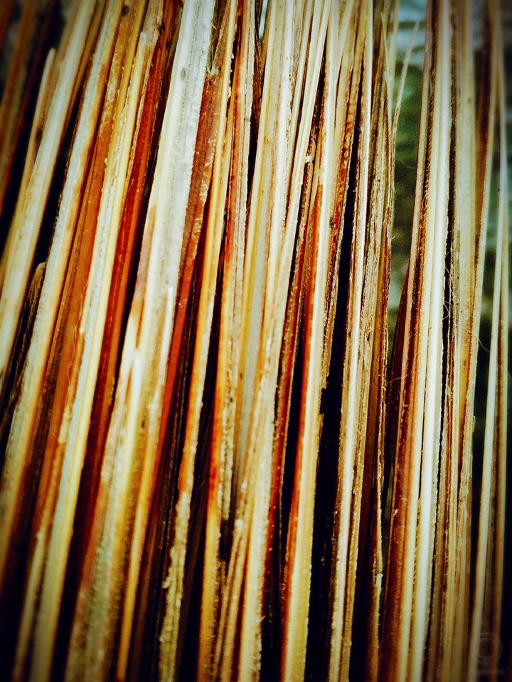 wood