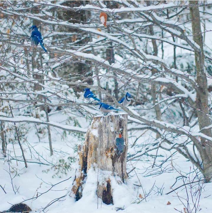 winter