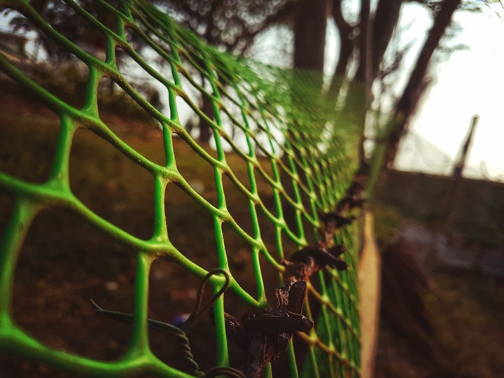green net