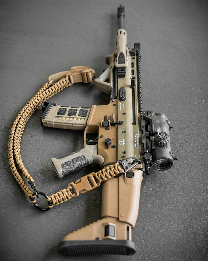 gun