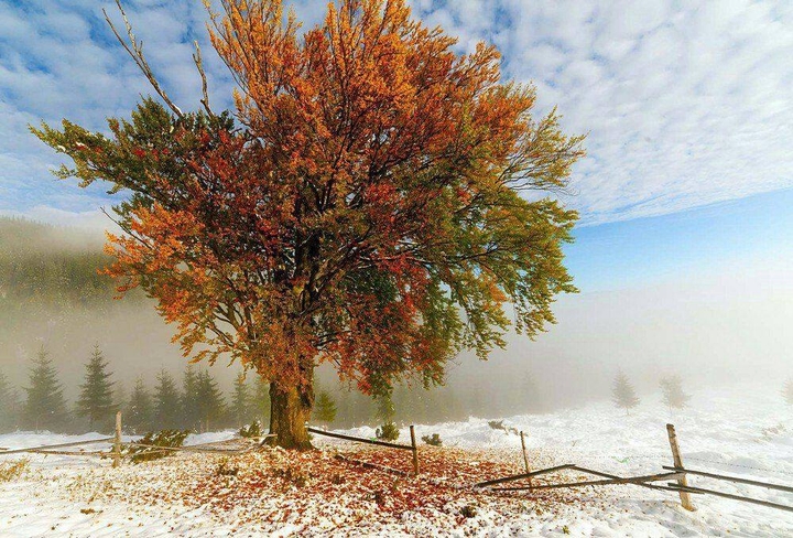 Ukraine Karpaty