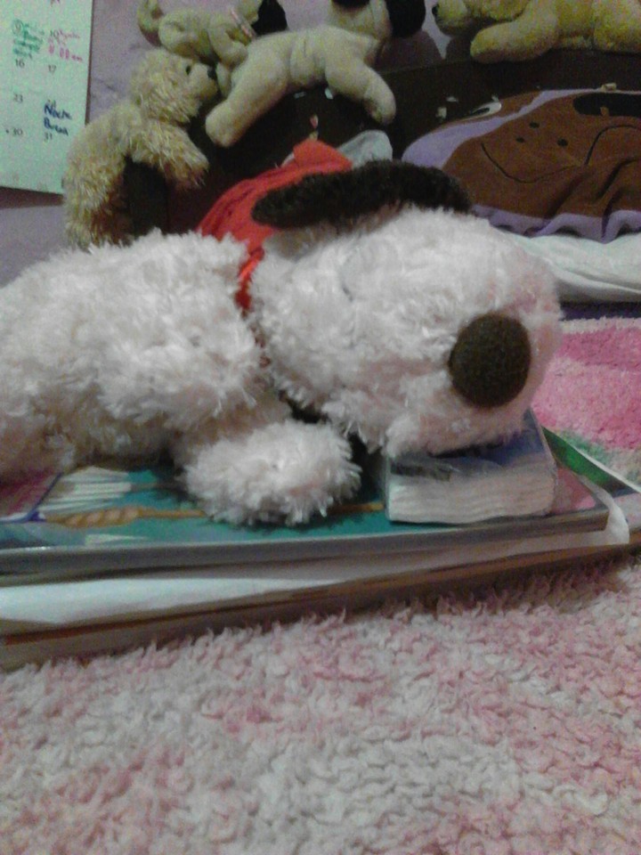 Lets sleep! Zzz!