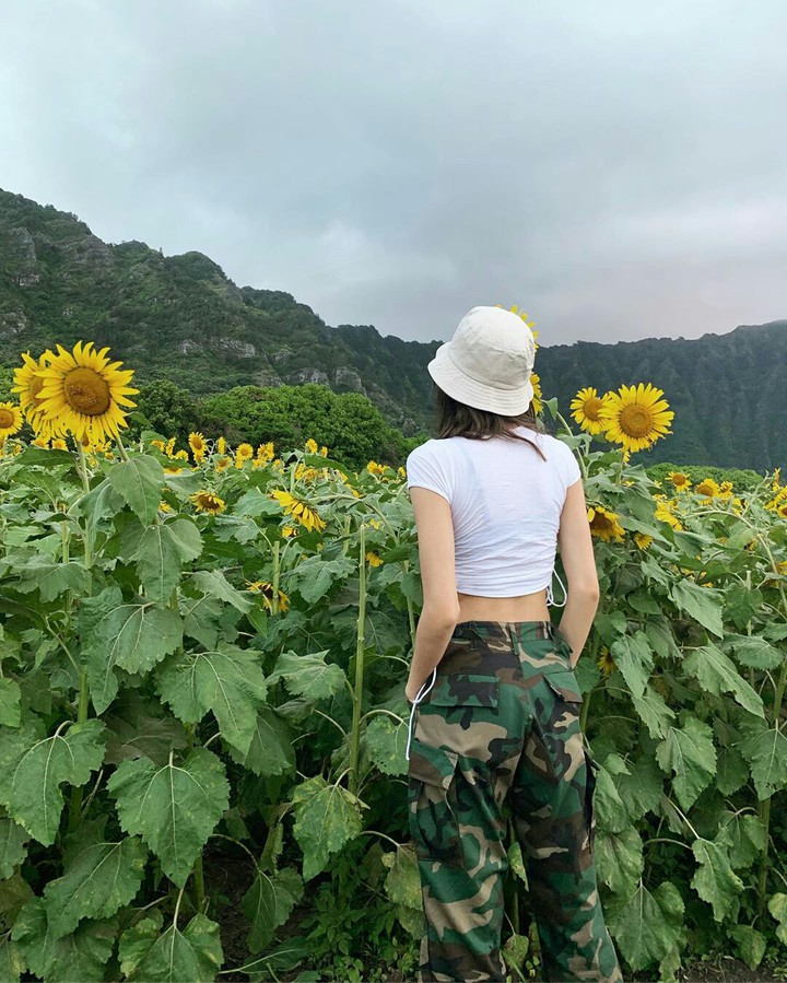 LISA