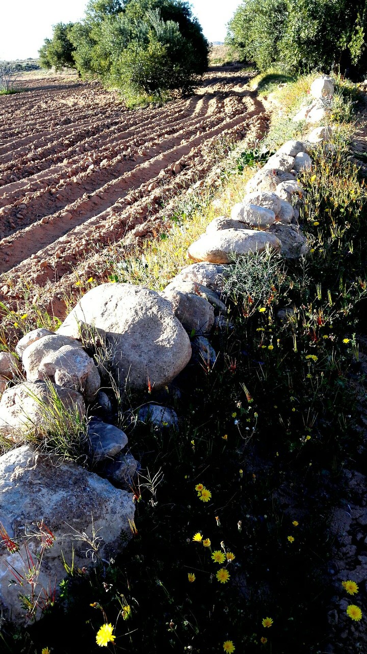 Chemin de pierre