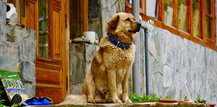 Gabbar