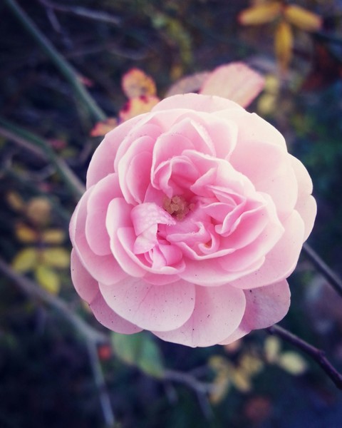 Hello spring...