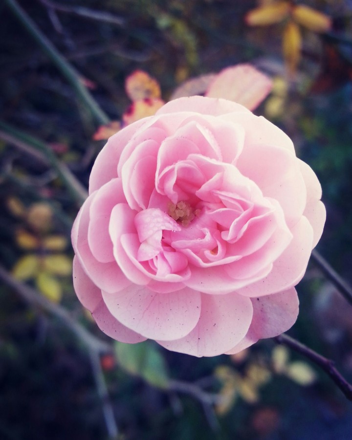 Hello spring...