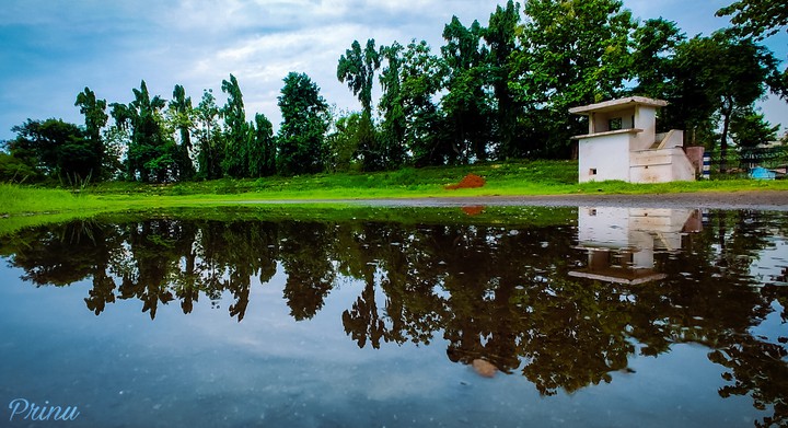 Lake view