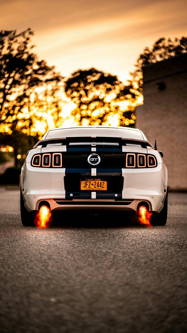 gt