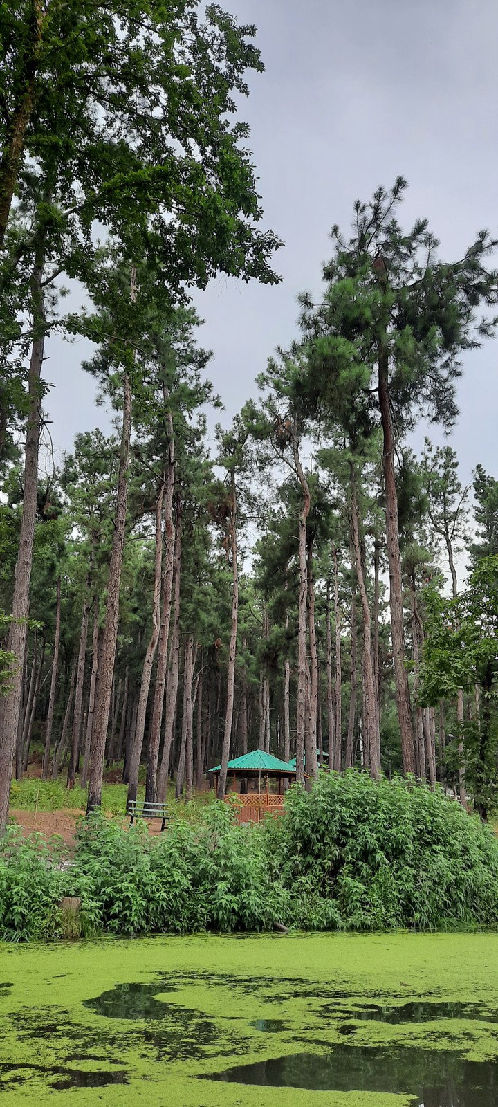 saravan lake