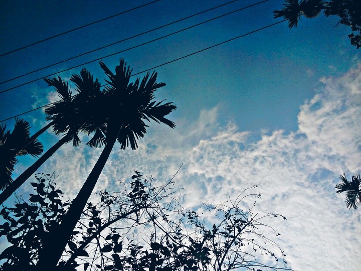 daylight with clouds