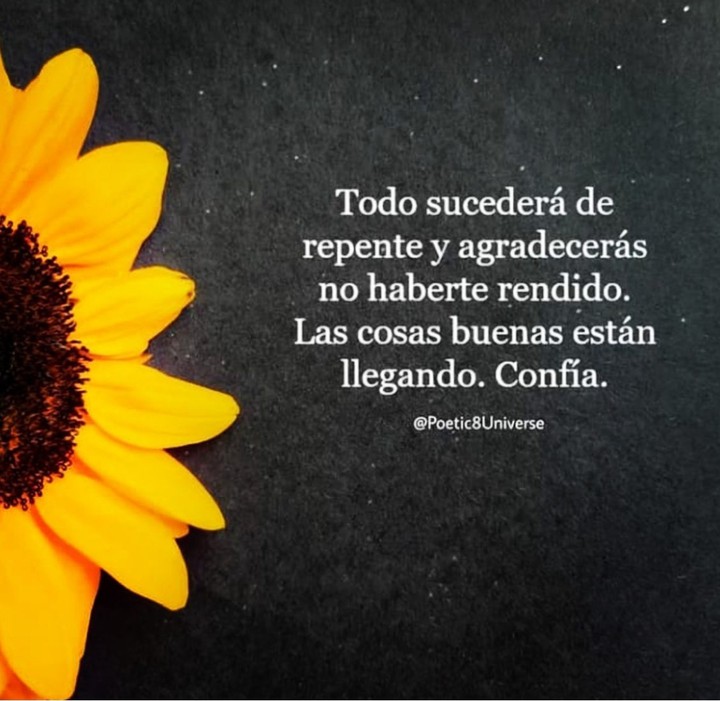 Girasol