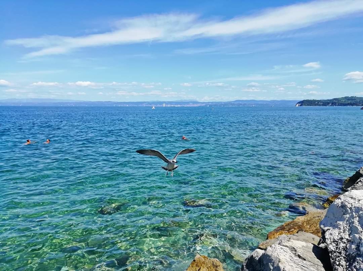 sea