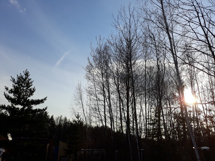 Summer sky