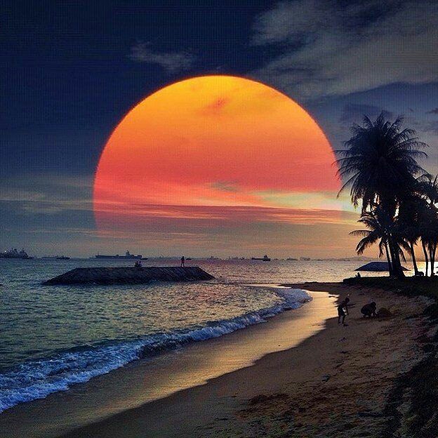 evening